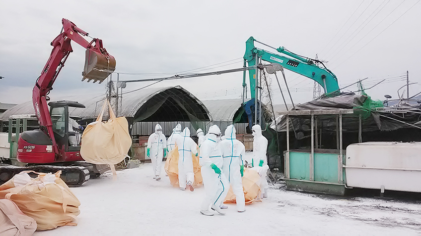 家畜伝染病発生時の緊急対策作業