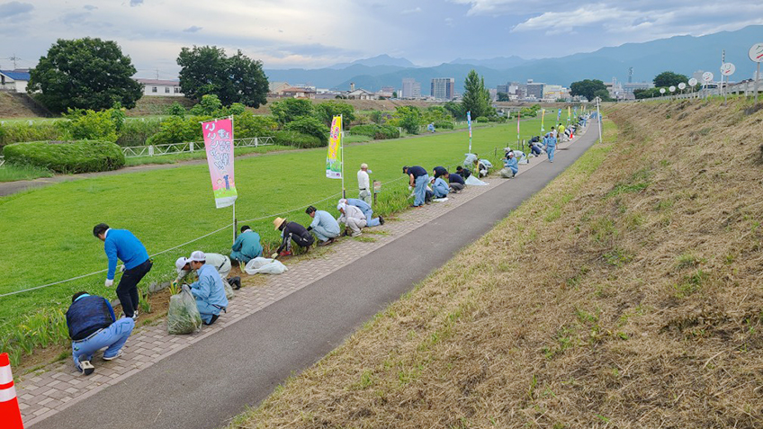 ジャーマンアイリスの手入れ・管理(甲府市 荒川河川敷)
